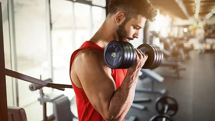 Cuánto comer para ganar músculo y no grasa
