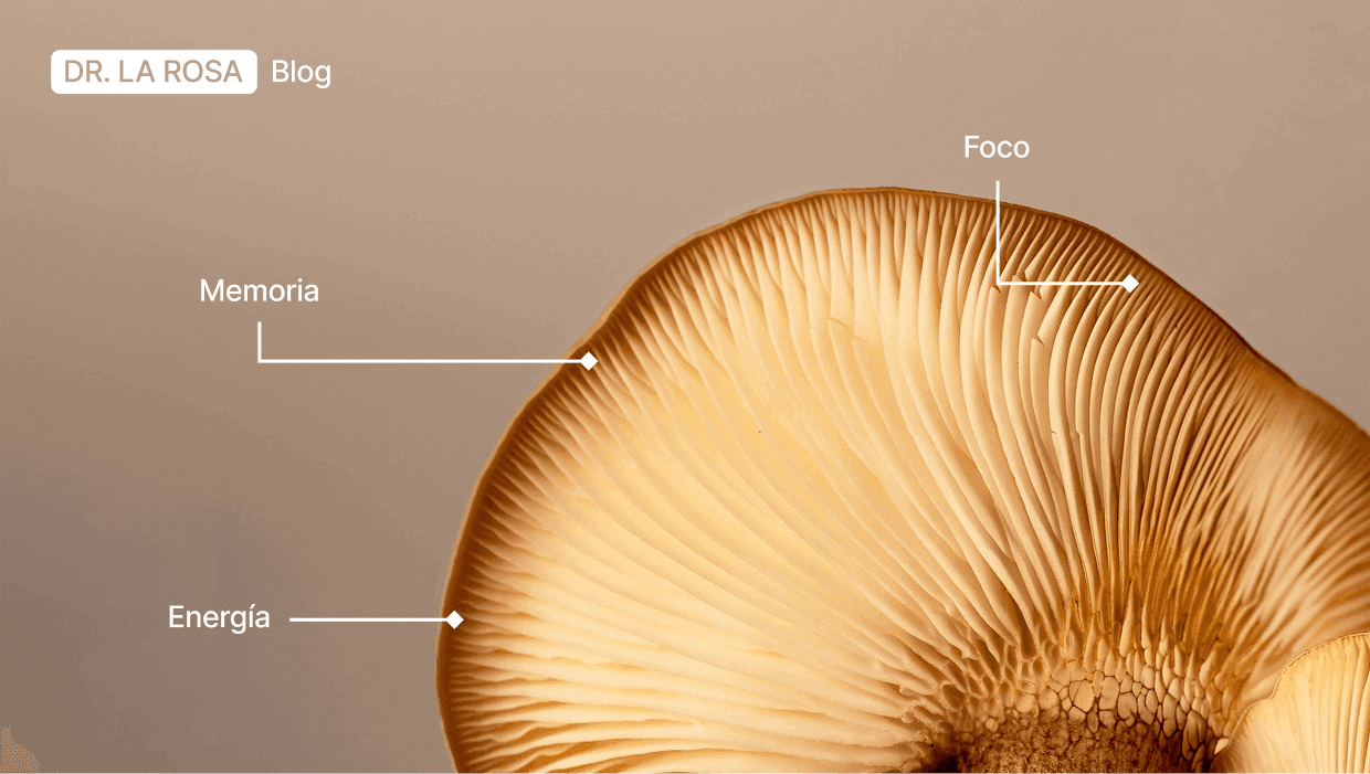 Cómo los hongos pueden mejorar tu cerebro y ayudarte a pensar mejor
